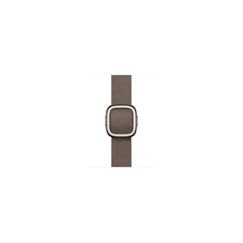 APPLE 42mm Dark Taupe Modern Buckle - Medium