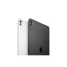 iPad Pro 11" WI-FI 512GB \\ Argento