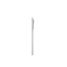 iPad Pro 11" WI-FI 1TB \\ Argento