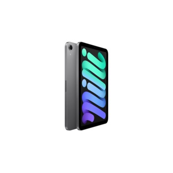 iPad mini Wi-Fi 128GB \\ Space Grey