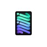 iPad mini Wi-Fi + Cellular 128GB \\ Space Grey