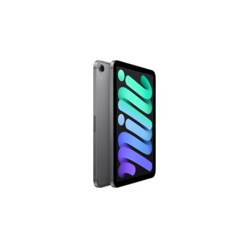 iPad mini Wi-Fi + Cellular 512GB \\ Space Grey