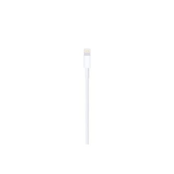 CAVO APPLE DA LIGHTNING A USB \\ 1M