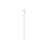 CAVO APPLE LIGHTNING USB-C \\ 1M