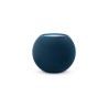 HomePod mini \\ Blu