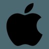 APPLE USATO